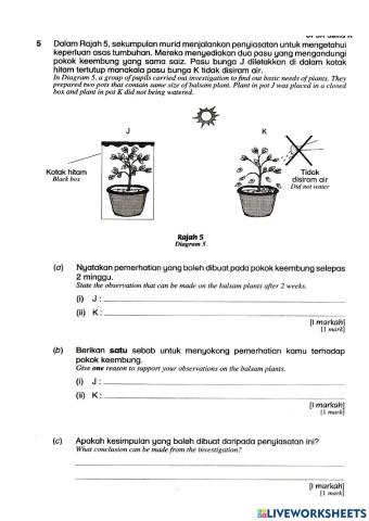 Set 4 Kertas 2 (B)