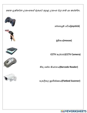 Computer Input Devices