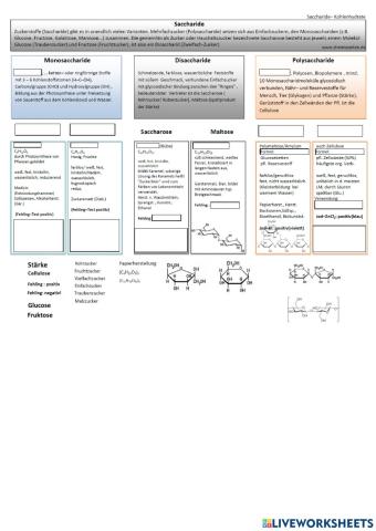 Kohlenhydrate