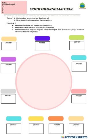 Animal cell worksheet