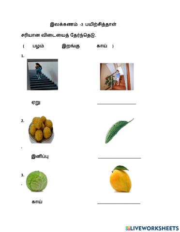 இலக்கணம்