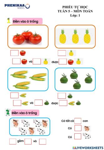 Phiếu cuối tuần 5