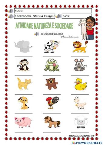 Animais