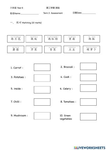 Y6 Term 3 Assessment