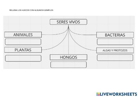 Tipos de seres vivos