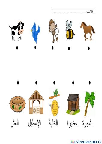 مسكن الطيور والحيوانات