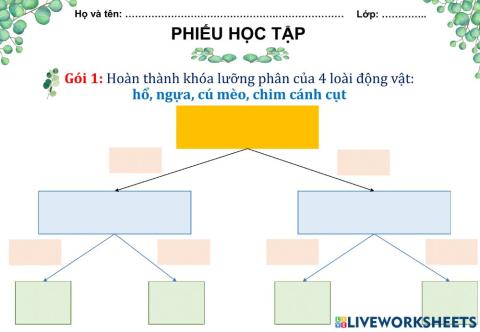 Khoa học - Khóa lưỡng phân (gói 1)