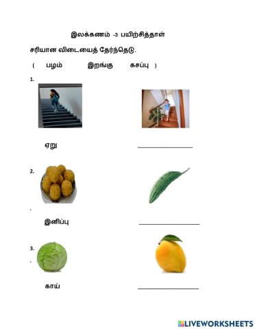 இலக்கணம்