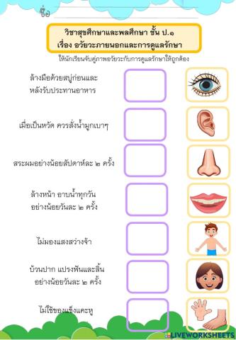 สุขศึกษาและพลศึกษา ป.1