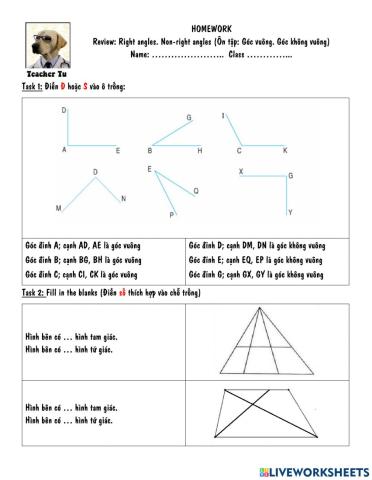 Góc vuông, không vuông và đếm hình
