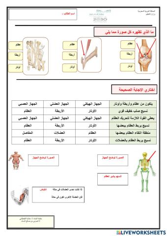 الحركة والاحساس-الهيكلي والعضلي