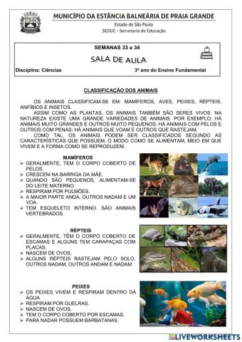 Classificação dos animais