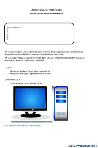 Organ Reproduksi Perempuan