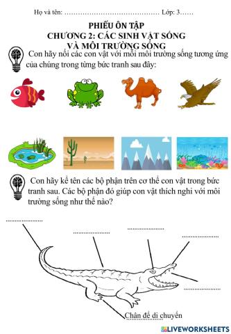 Phiếu ôn tập chương 2: Các sinh vật sống và môi trường sống