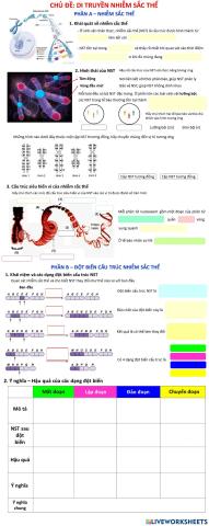 Di truyền nhiễm sắc thể