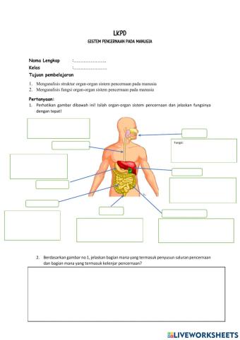 LKPD SIstem Pencernaan