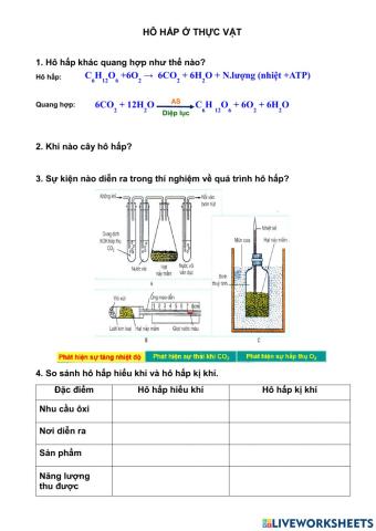 Bài 12. sinh 11. hô hấp ở thực vật