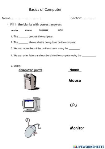 Computer basics