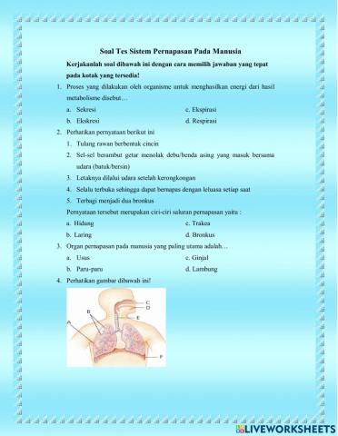 Soal Tes Sistem Pernapasan Pada Manusia