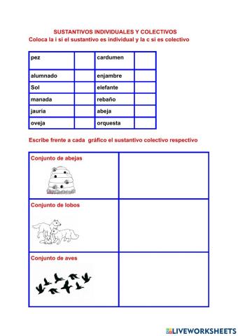 Sustantivos Individuales y Colectivos