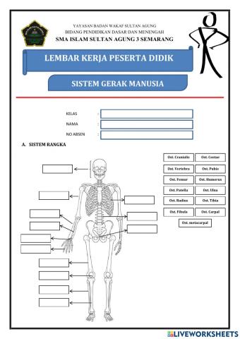 Lkpd sistem gerak kelas xi