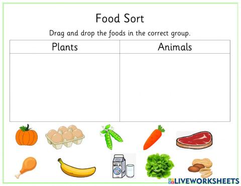 Food Sort