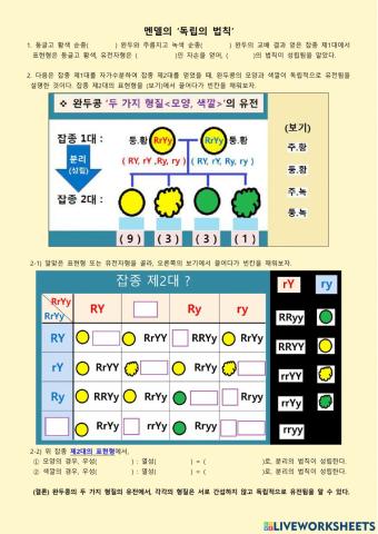 멘델의 유전 - 독립의 법칙