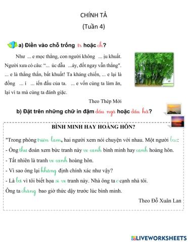 Chính tả tuần 4