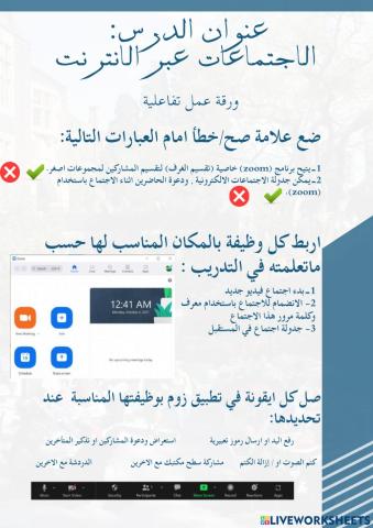 الاجتماعات عبر الانترنت