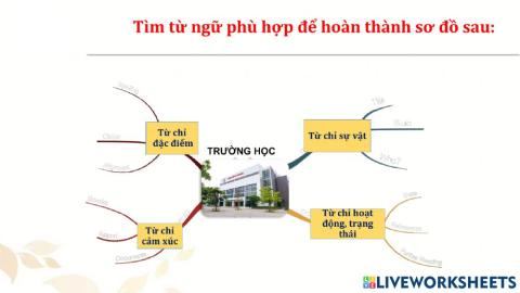 MRVT Trường học