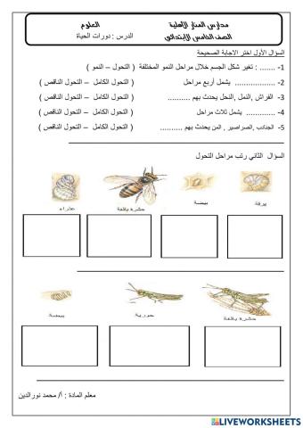 دورات الحياة