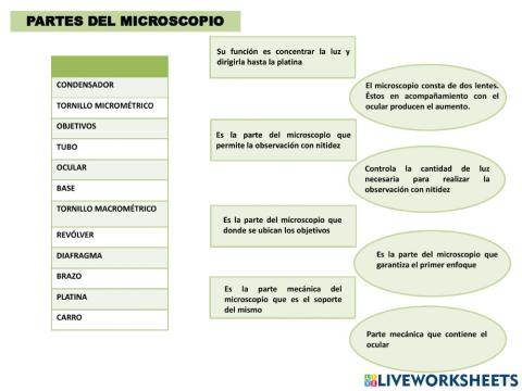 Función de cada parte del microscopio