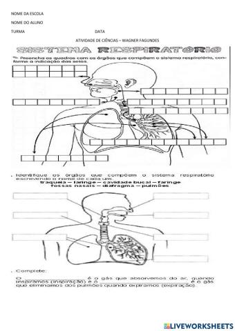 Revisão sist resp e digest