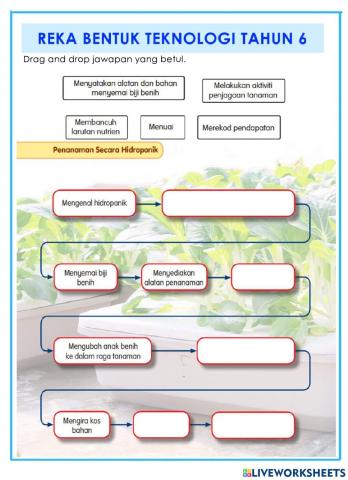 Teknologi Pertanian Hidroponik Tahun 6