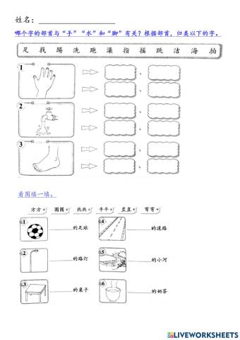 一年级华文复习第十六单元