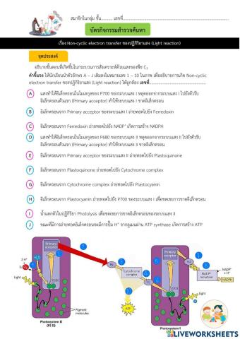 Light reaction