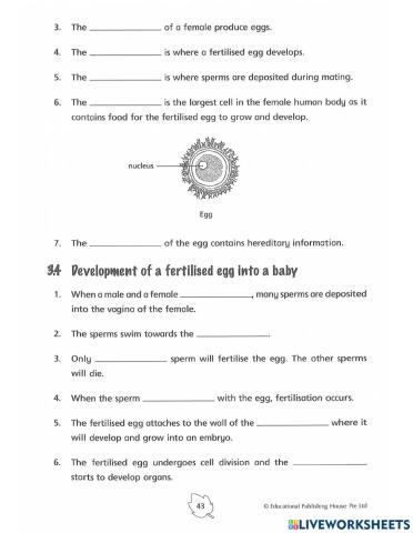 5E2 Reproduction in humans