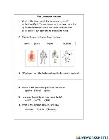 The Locomotor System