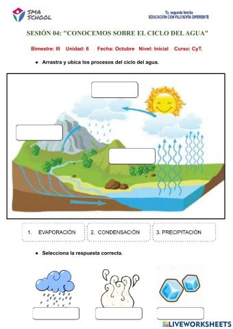 Ciclo del agua