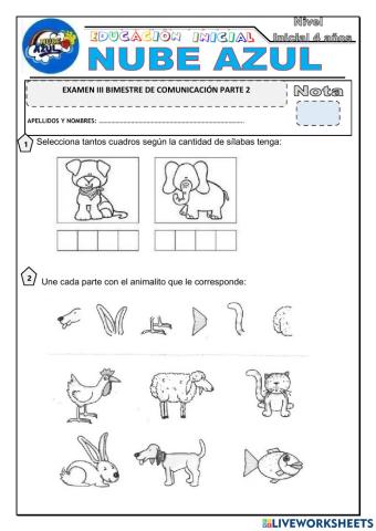 Examen de comunicacion