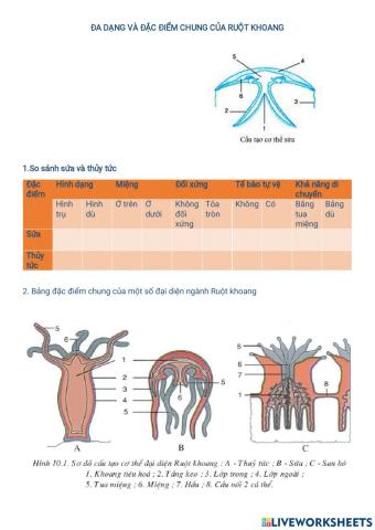 Chủ đề: Ruột khoang