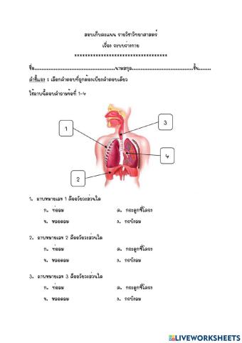 ข้อสอบเก็บคะแแนน