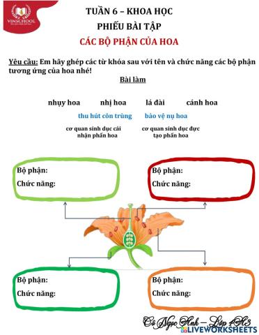 Tuần 6-Các bộ phận của hoa-PBT chung