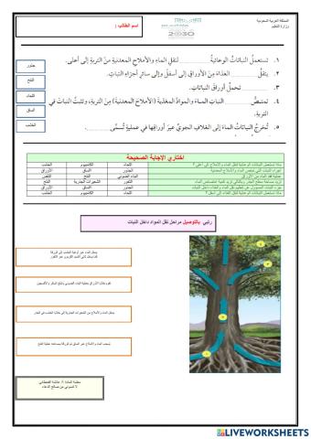 عمليات الحياة في النباتات