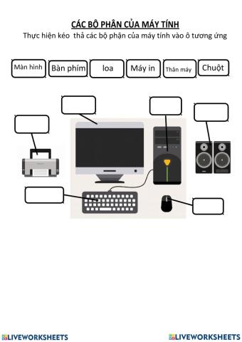 Các bộ phận của máy tính