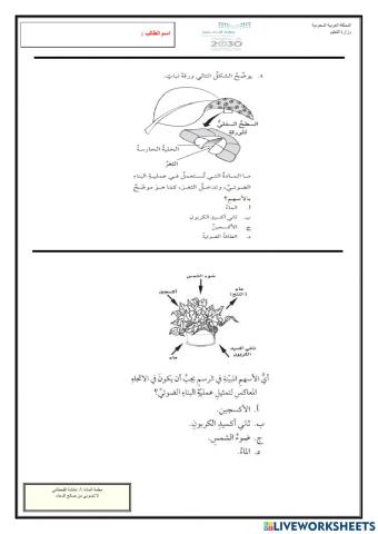 تمرين من دليل تقويم الطالب -درس الورقة