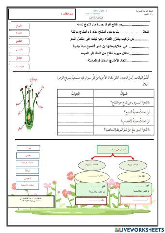 عمليات الحياة في النباتات -التكاثر