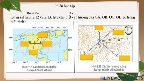 Hoàn thành phiếu học tập