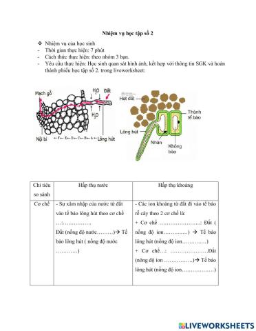 Phiếu học tập số 2 - Vận chuyển các chất trong cây