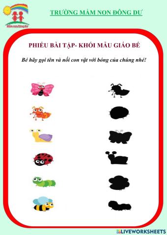 Bài tập khám phá